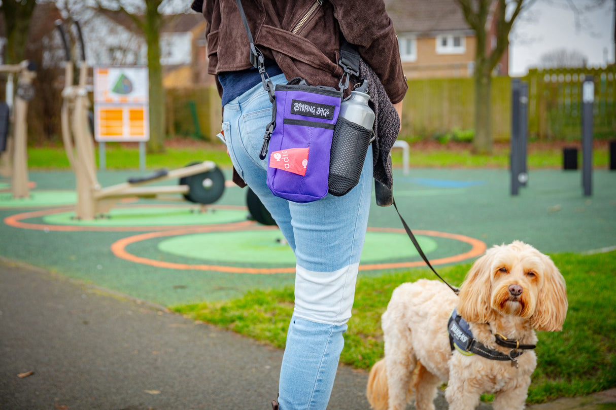 The Diddy Bag - Purple Barking Bags