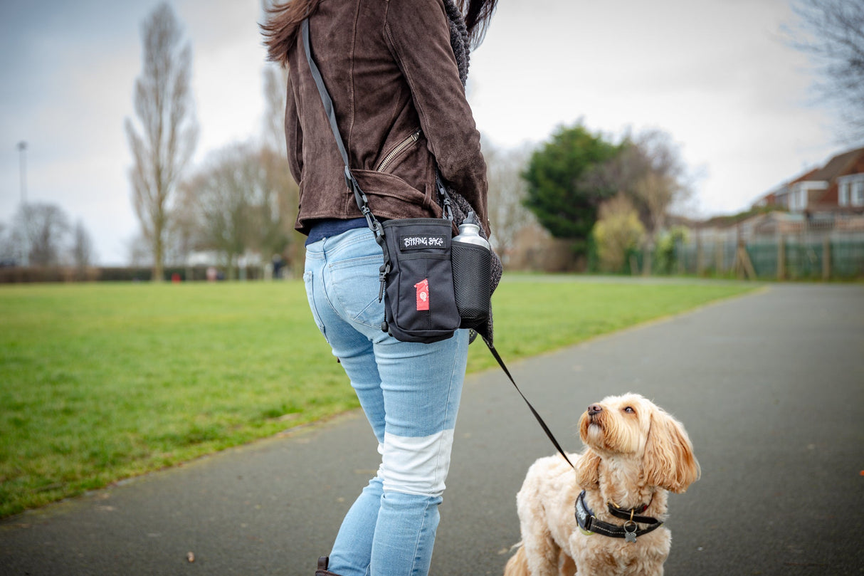 The Diddy Bag - Black Barking Bags