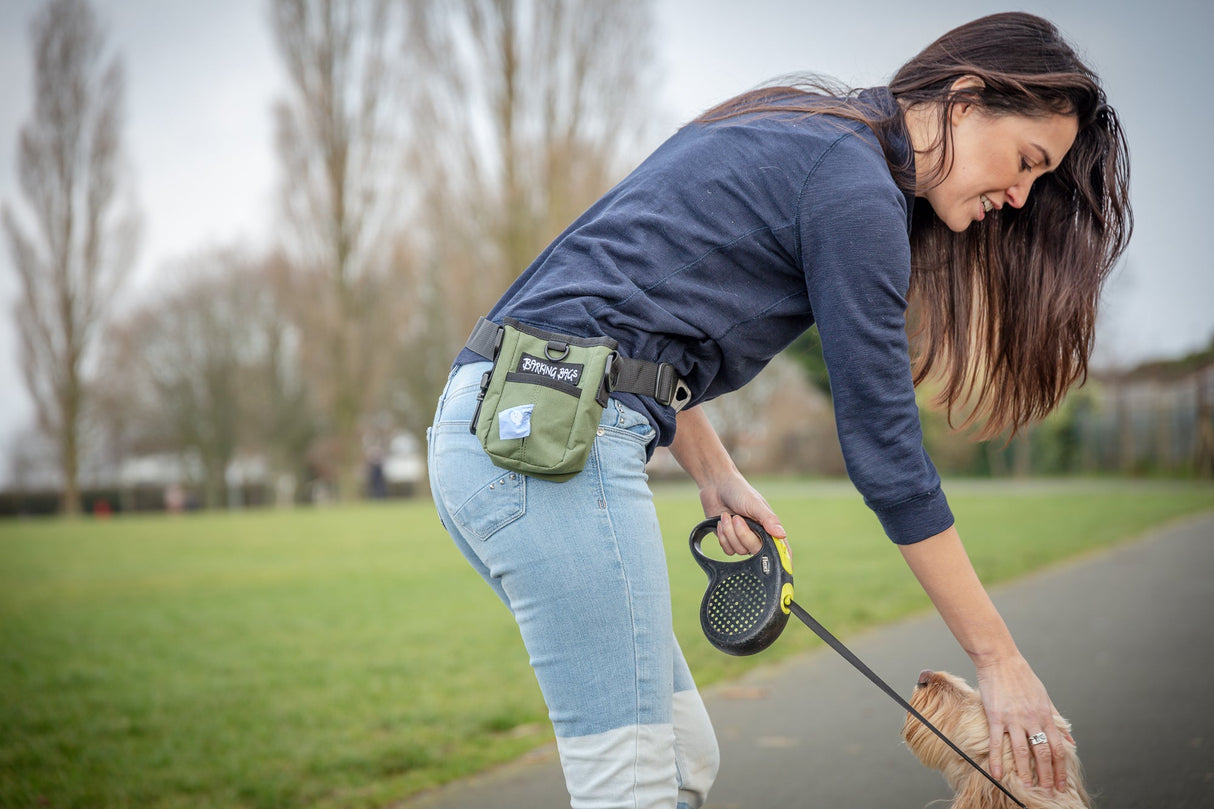 The Treat Bag - Green Barking Bags