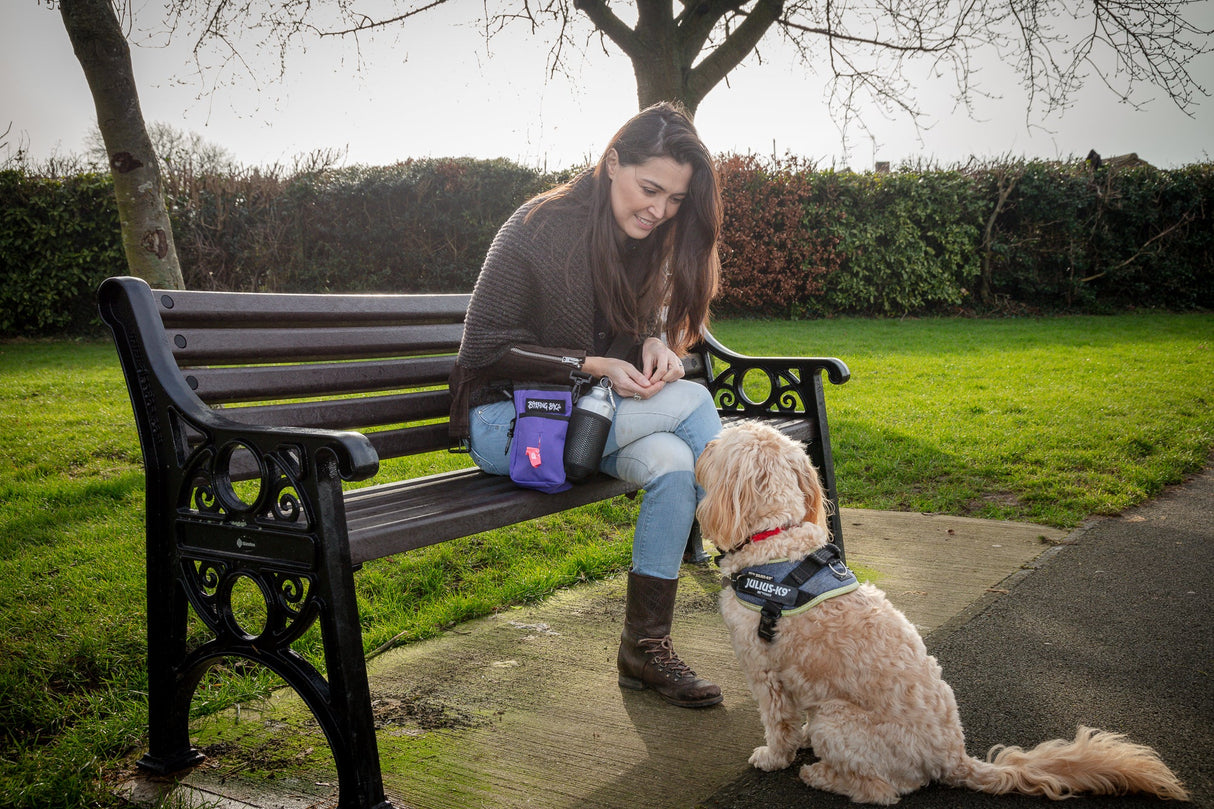 The Diddy Bag - Purple Barking Bags