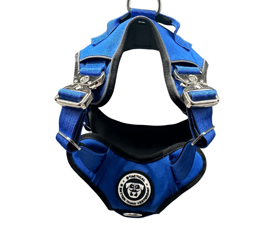 BTactical Ultimate No Pull Dog Harness - Royal Blue