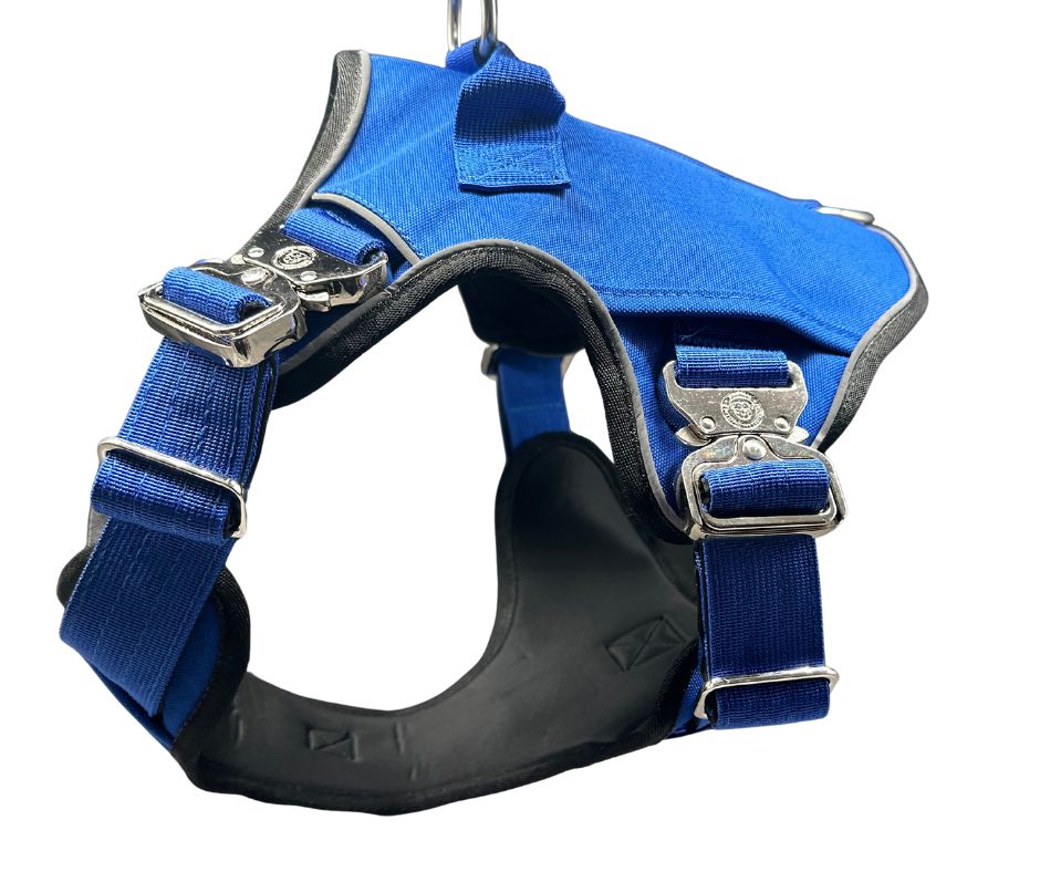 BTactical Ultimate No Pull Dog Harness - Royal Blue