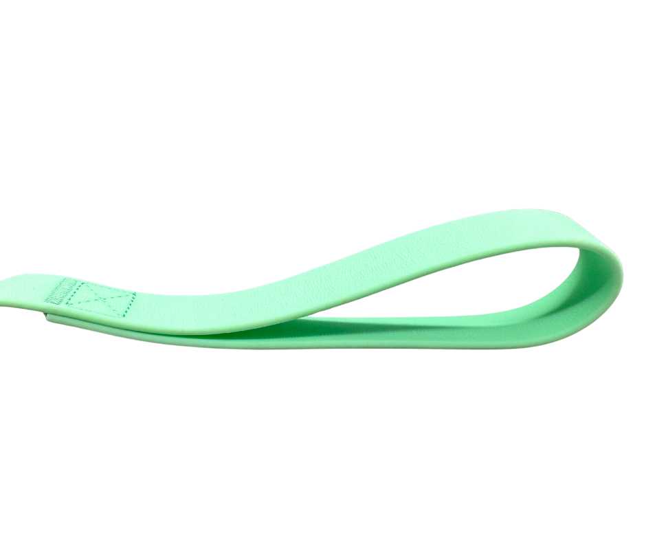 BTactical Extra-Strong PVC Frog Clip Dog Lead - Pastel Green