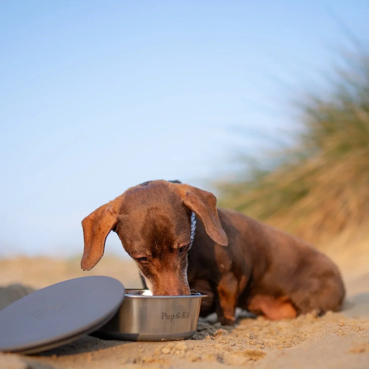 Lid-it® Bowl with Stay-Fresh Lid - Grey Dog Supplies Pup & Kit