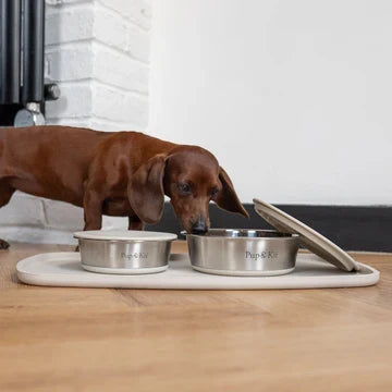 Lid-it® Bowl with Stay-Fresh Lid - Beige Dog Supplies Pup & Kit