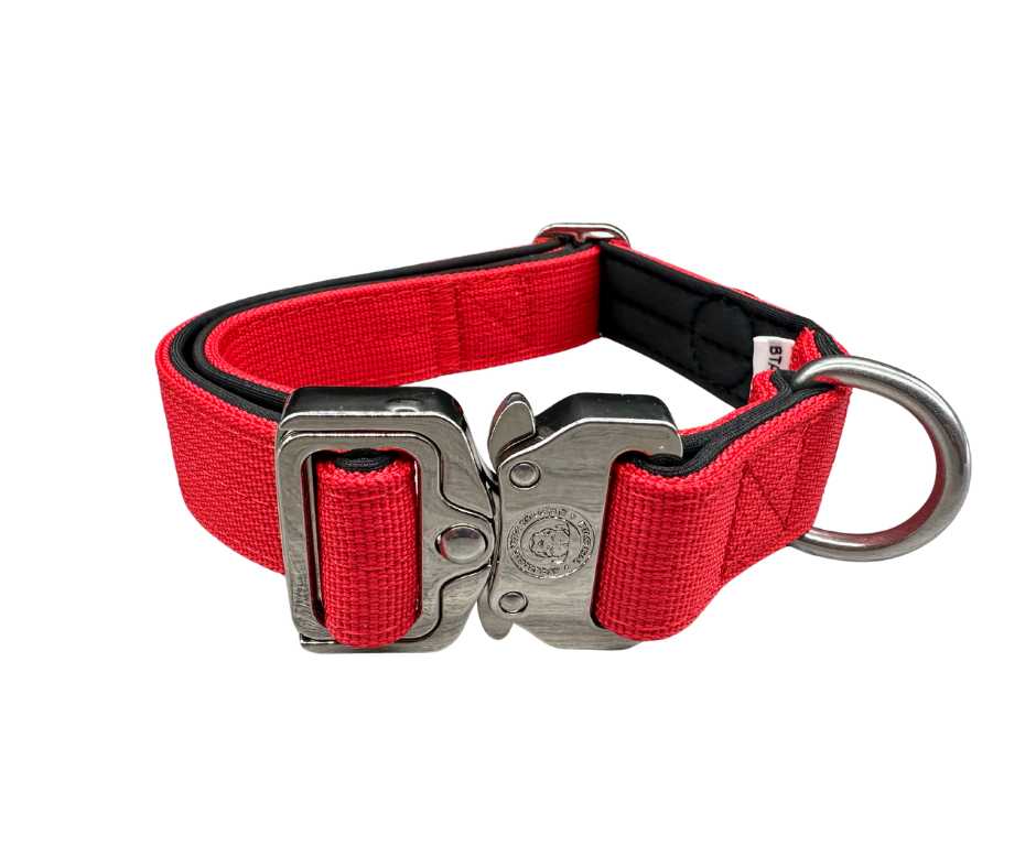 BTactical 2.5cm Nylon Dog Collar - Citrus Red
