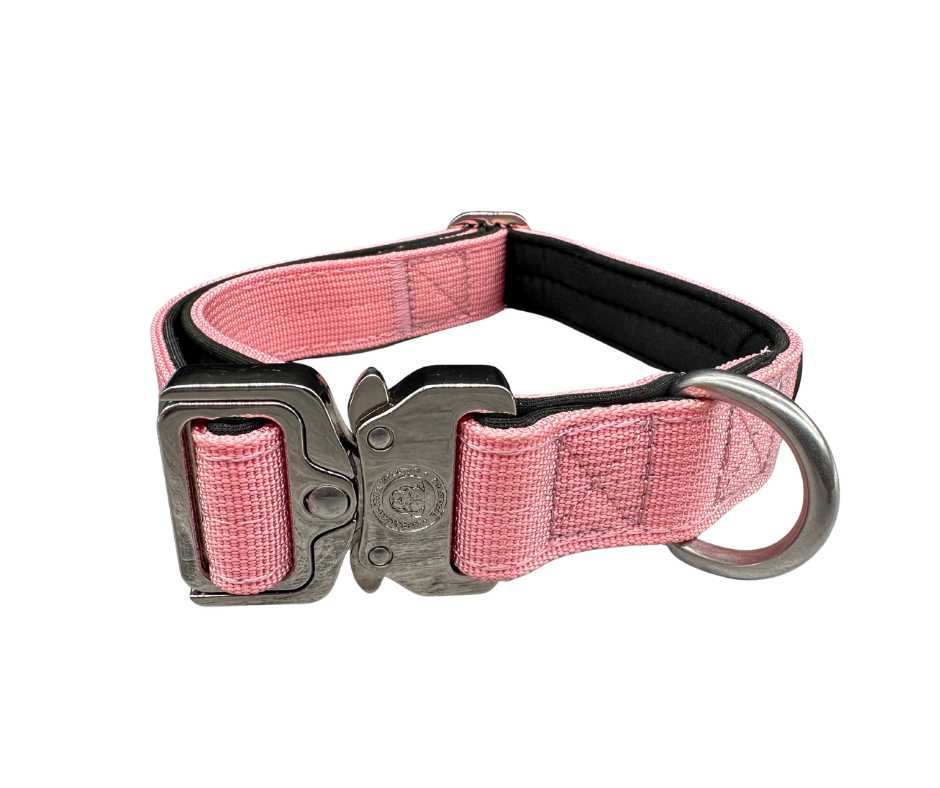 BTactical 2.5cm Nylon Dog Collar - Pretty Pink