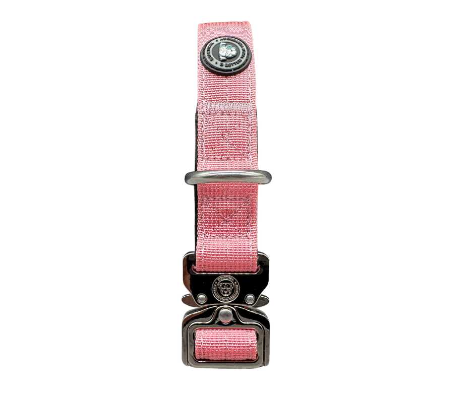 BTactical 2.5cm Nylon Dog Collar - Pretty Pink