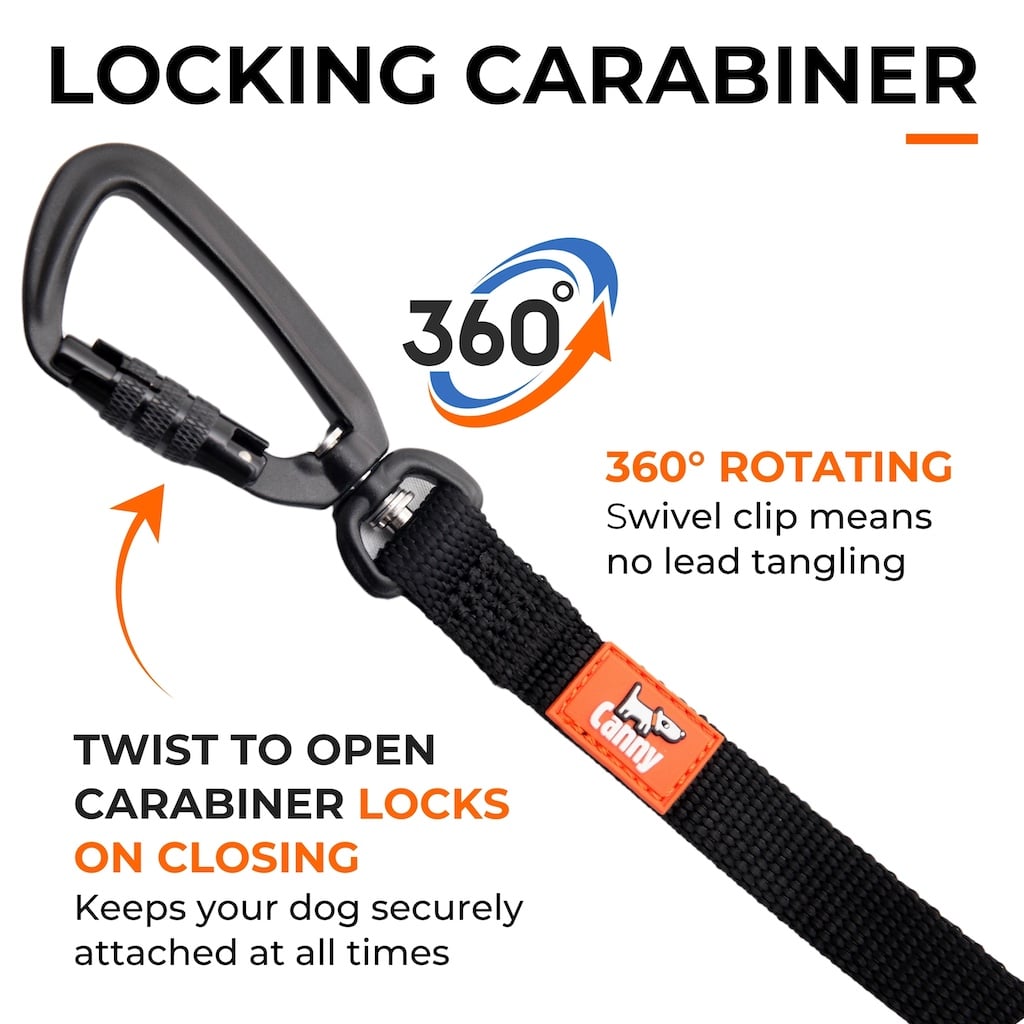 The Canny Company Long Training Line Dog Lead
