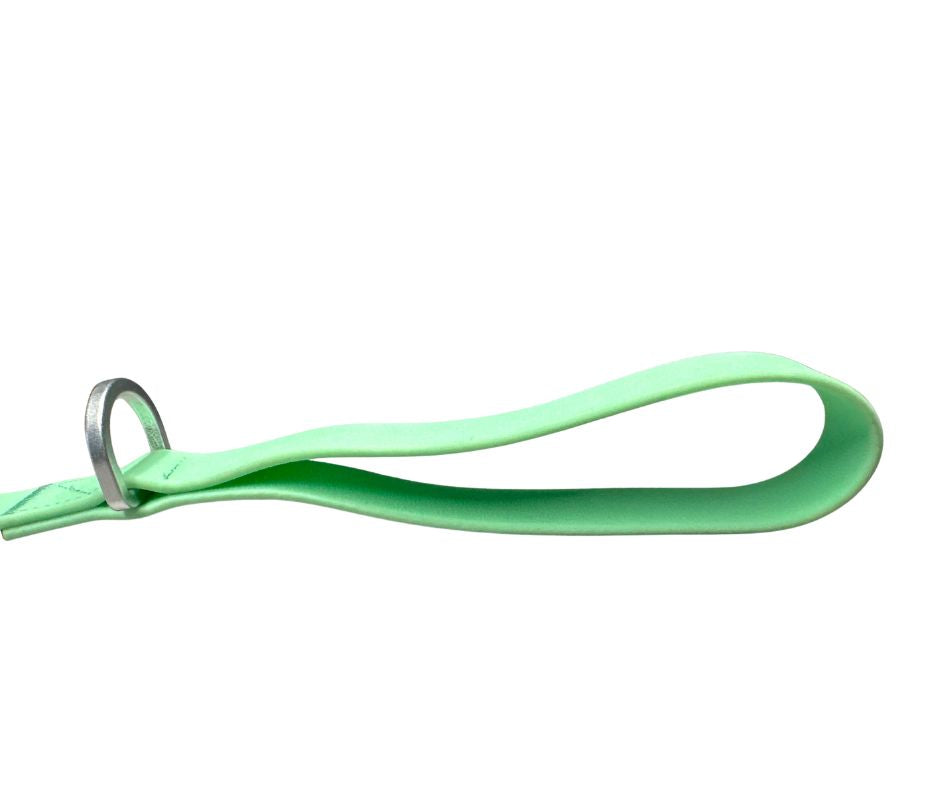 BTactical Extra-Strong PVC Carabiner Clip Dog Lead - Pastel Green