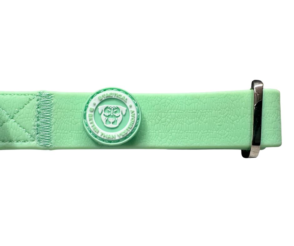 BTactical 2.5cm PVC Dog Collar - Pastel Green