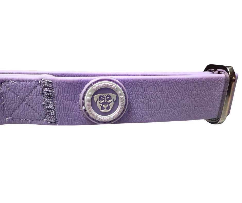 BTactical Puppy PVC Dog Collar - Pastel Purple