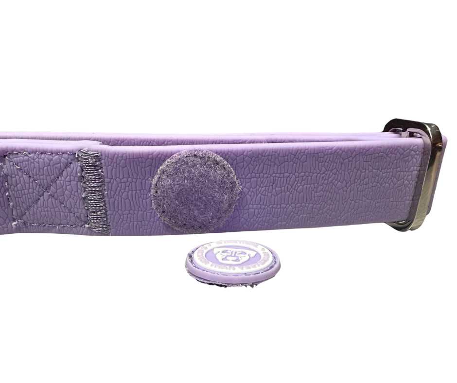 BTactical Puppy PVC Dog Collar - Pastel Purple
