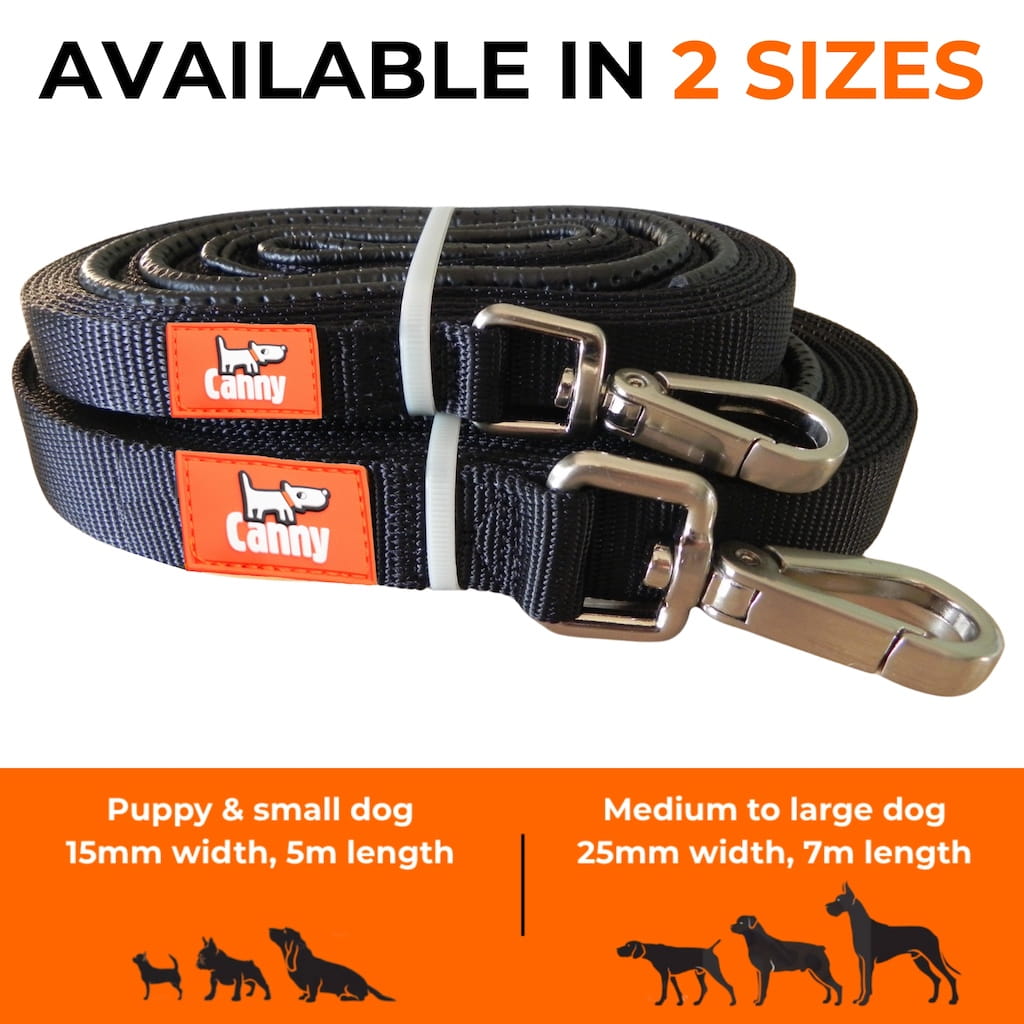 The Canny Company Long Training Line Dog Lead