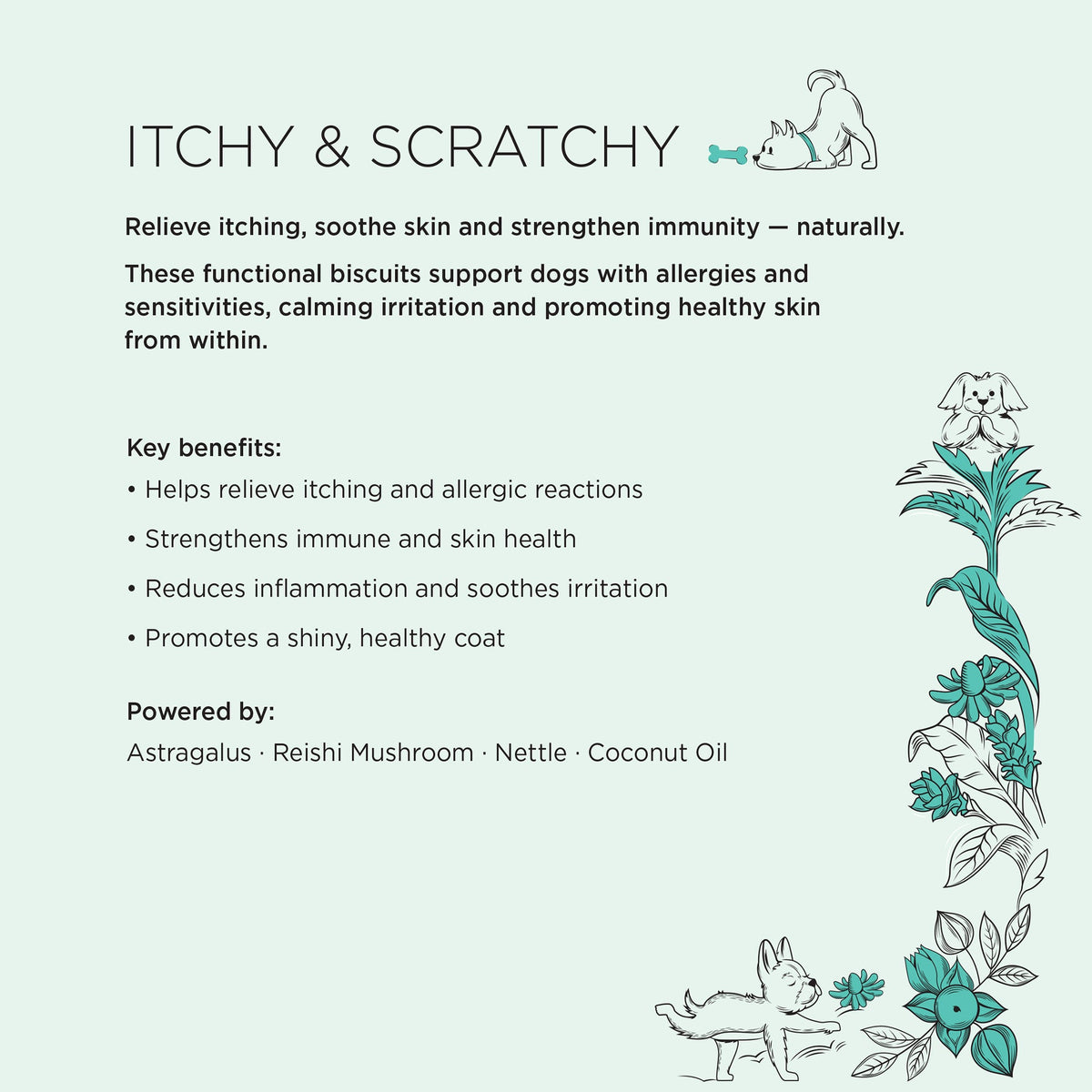 Gizzls Itchy Skin & Tummy Bundle Dog Supplement Treats