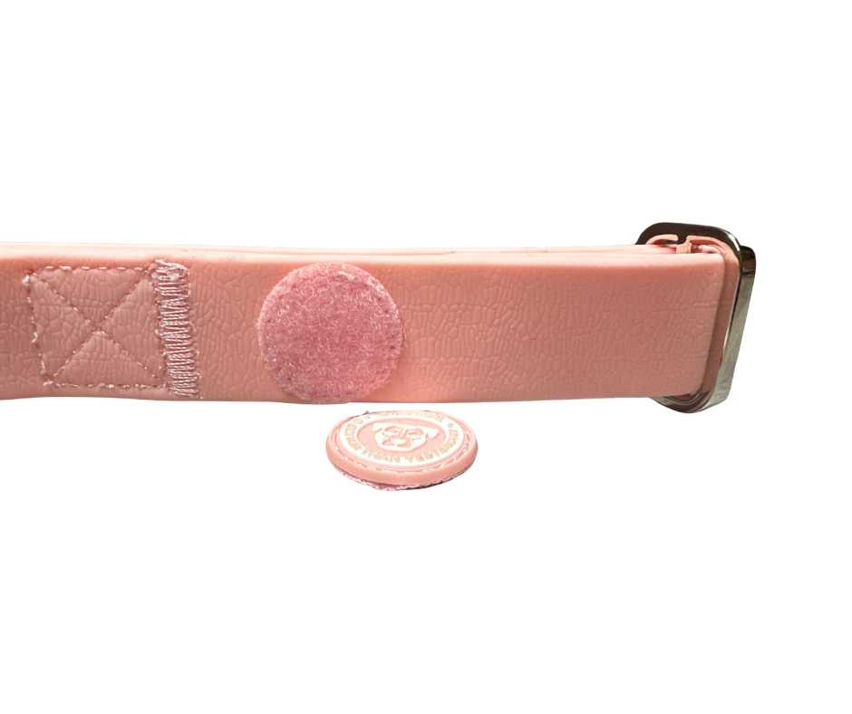 BTactical Puppy PVC Dog Collar - Pastel Pink
