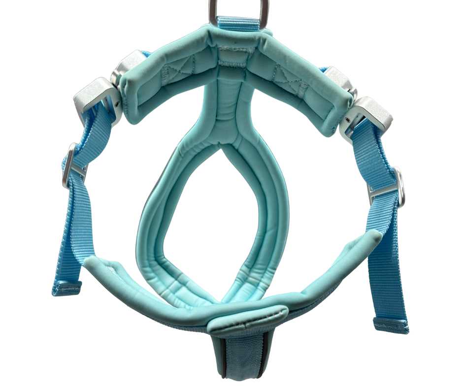 BTactical 2.5cm Slip-On Dog Harness - Pastel Blue