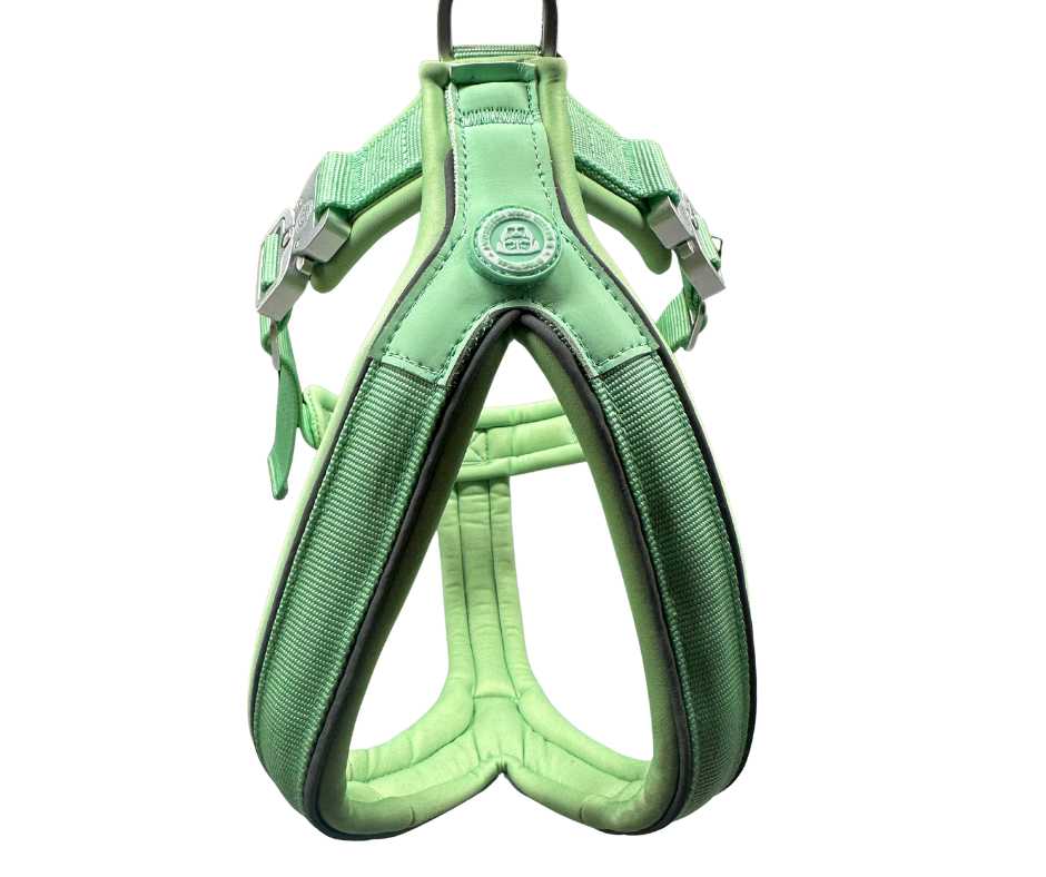 BTactical 2.5cm Slip-On Dog Harness - Pastel Green