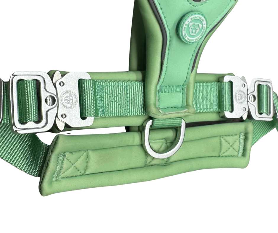 BTactical 2.5cm Slip-On Dog Harness - Pastel Green
