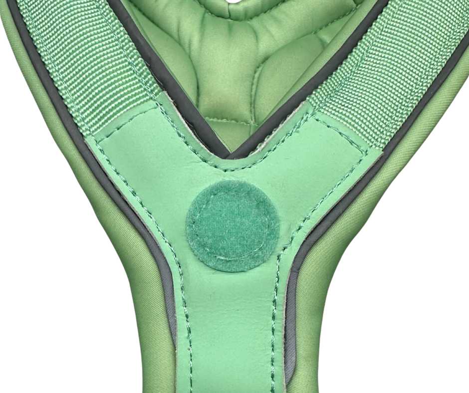 BTactical 2.5cm Slip-On Dog Harness - Pastel Green