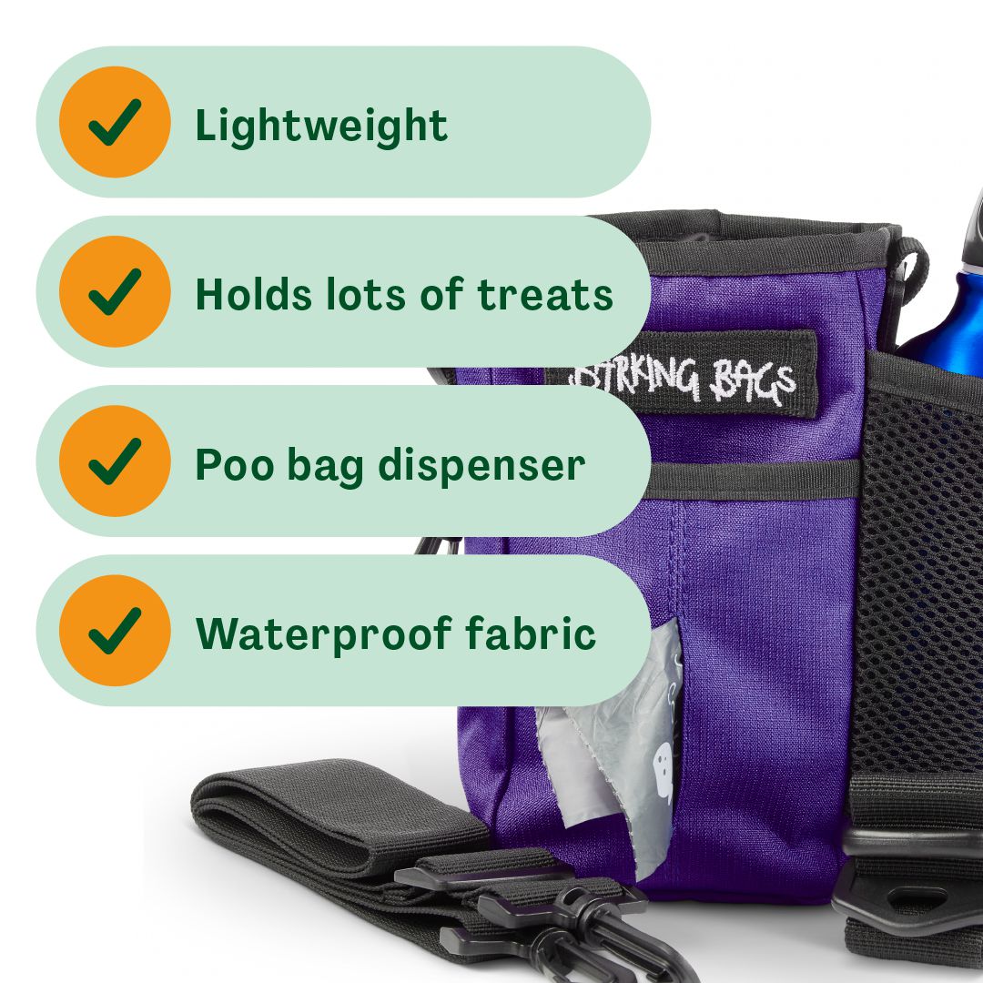 The Diddy Bag - Purple Barking Bags