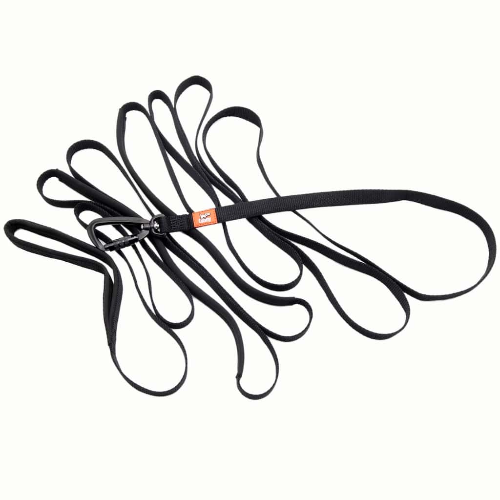 The Canny Company Long Training Line Dog Lead