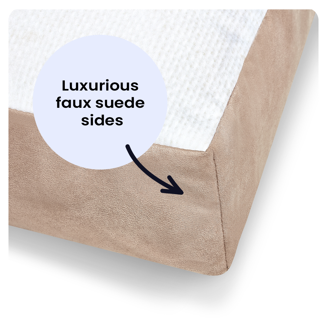 Christine Varley Luxury Printed Dog Bed - Cockapoo Barking Beds