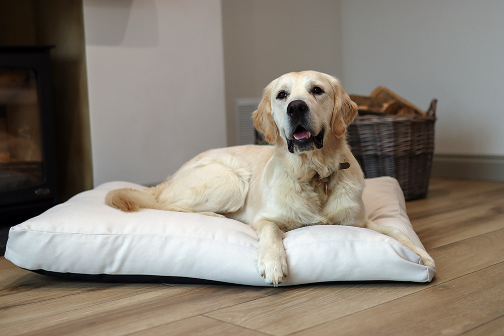 Canvas Fabric Dog Bed Barking Beds