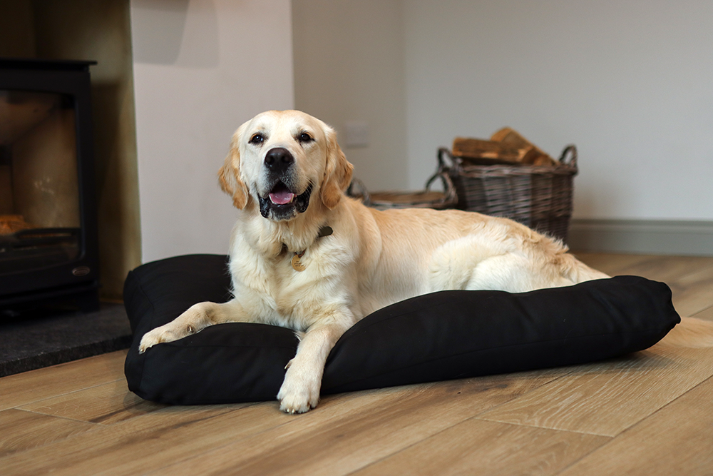 Black Fabric Dog Bed Barking Beds