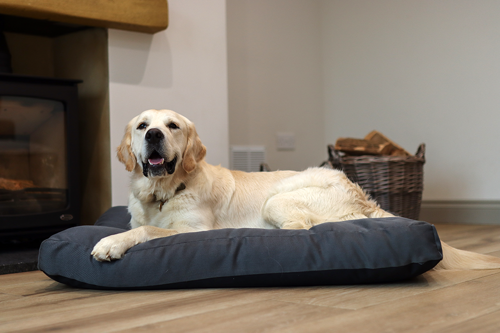 Charcoal Fabric Dog Bed Barking Beds