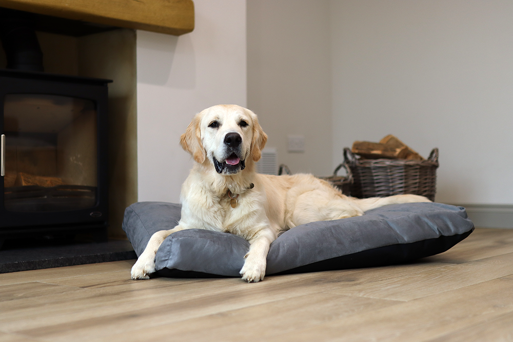 Luxury Faux Suede Dog Bed - Grey Barking Beds