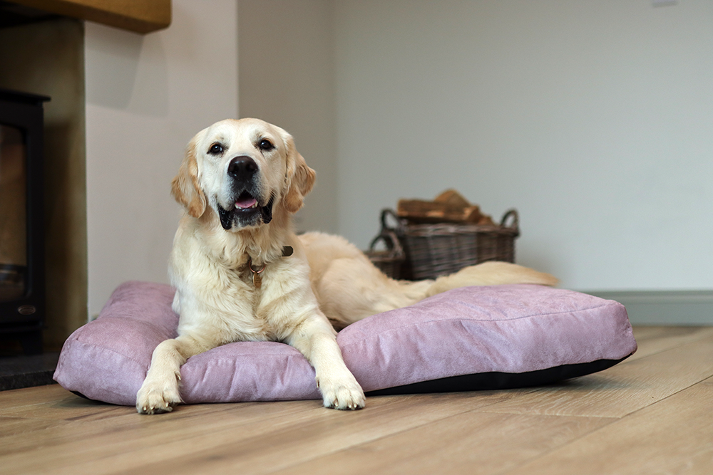 Luxury Faux Suede Dog Bed - Mauve Barking Beds