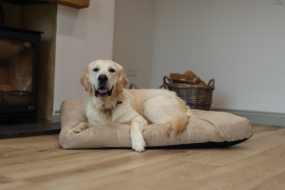 Luxury Faux Suede Dog Bed - Stone Barking Beds