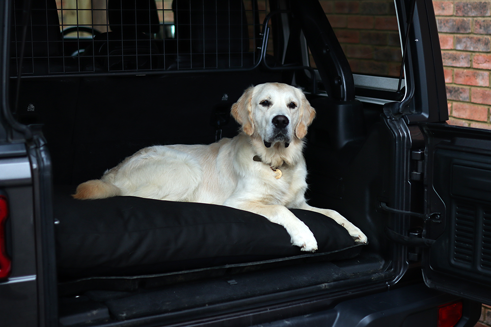 Black Fabric Dog Bed Barking Beds