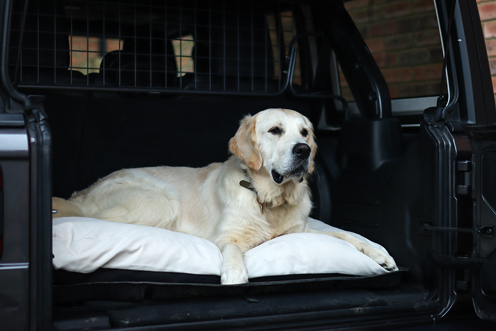 Canvas Fabric Dog Bed Barking Beds