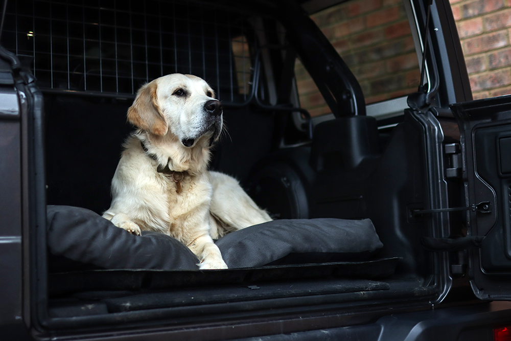 Charcoal Fabric Dog Bed Barking Beds