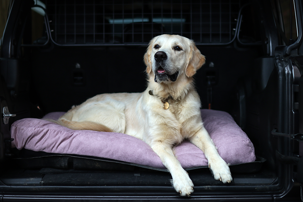 Luxury Faux Suede Dog Bed - Mauve Barking Beds