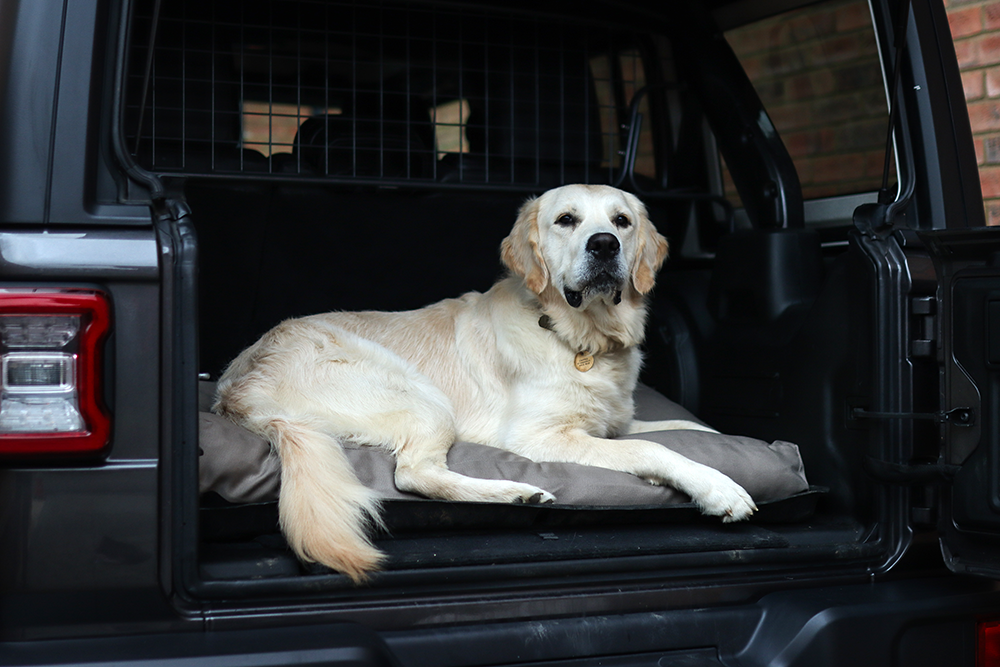 Taupe Fabric Dog Bed Barking Beds