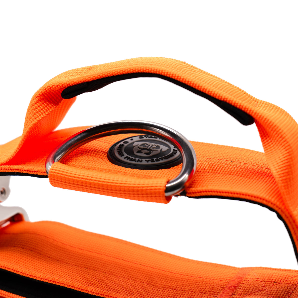 BTactical 5cm Nylon Dog Collar - Citrus Orange
