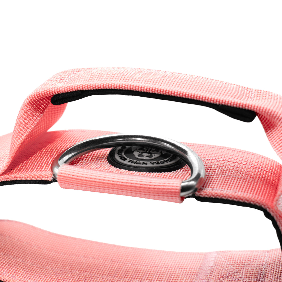 BTactical 5cm Nylon Dog Collar - Pretty Pink