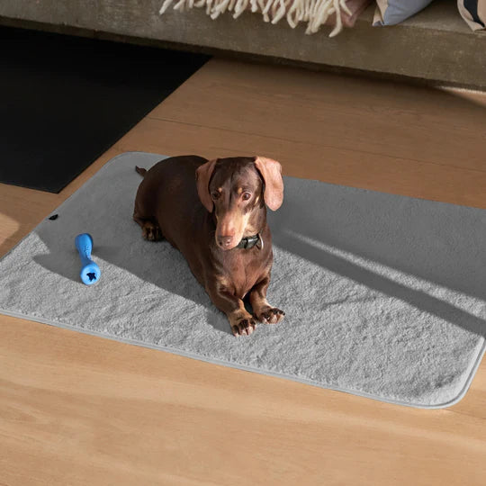 Pup & Kit - PetProtector® Waterproof Pet Blanket - Grey