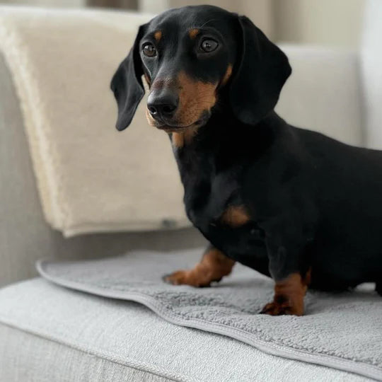 Pup & Kit - PetProtector® Waterproof Pet Blanket - Grey