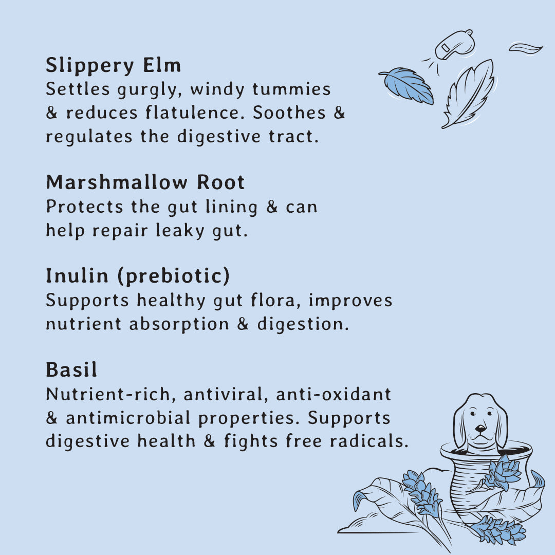 Gizzls Gut Support Dog Treats