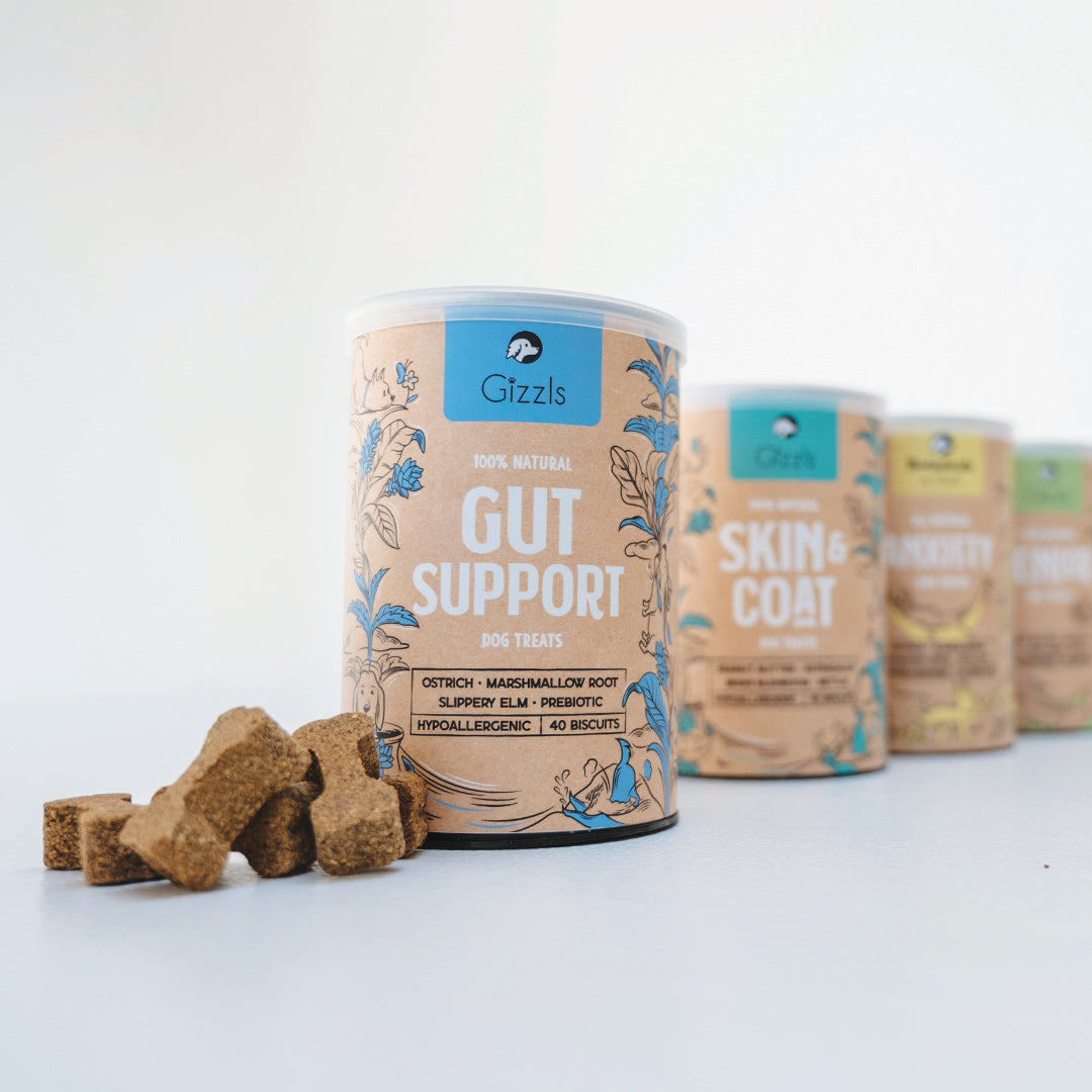 Gizzls Gut Support Dog Treats