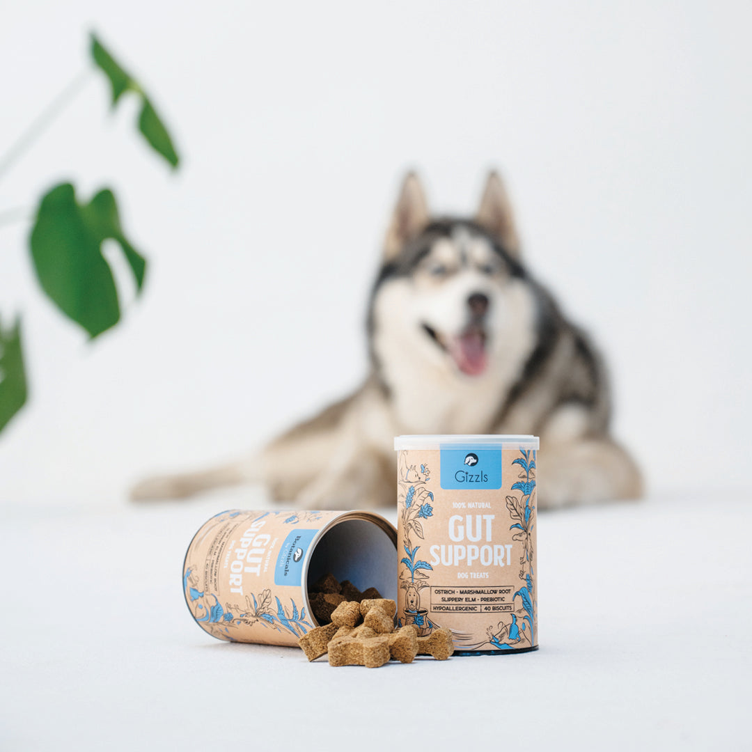 Gizzls Gut Support Dog Treats