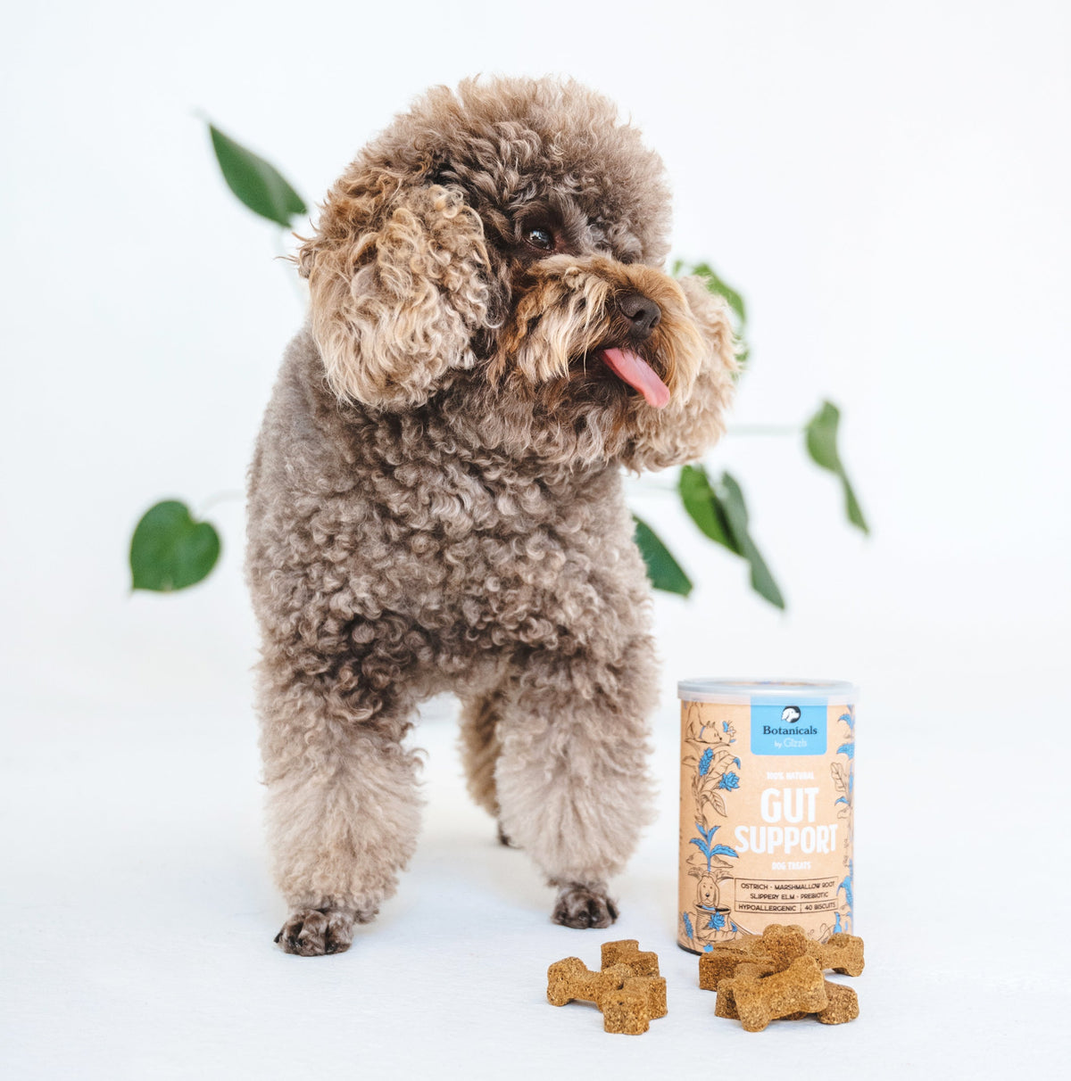 Gizzls Gut Support Dog Treats