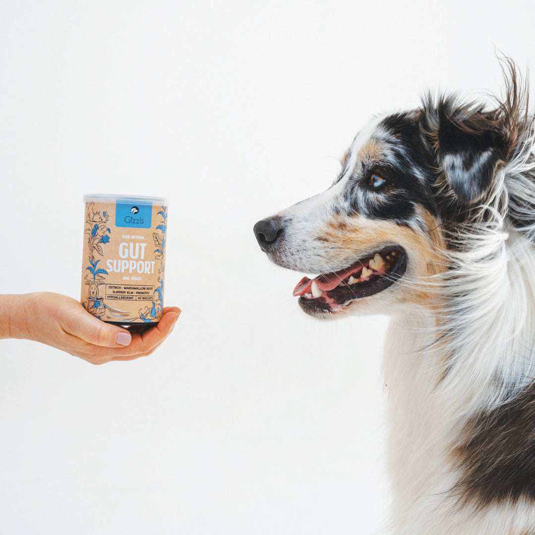Gizzls Gut Support Dog Treats