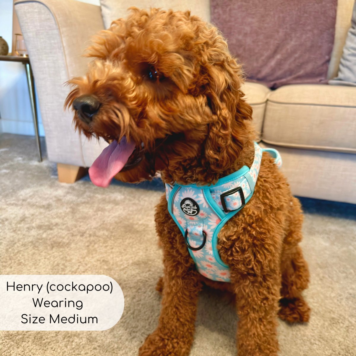 PupClub Couture Rugged Rover Harness - Pastel Daisy