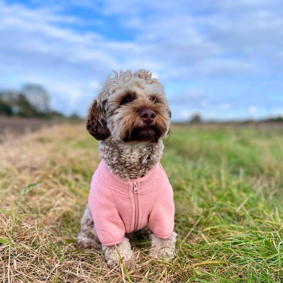 PupClub Couture Dog Fleece Coat - Pale Pink