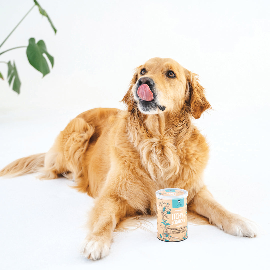 Gizzls Itchy & Scratchy Dog Treats